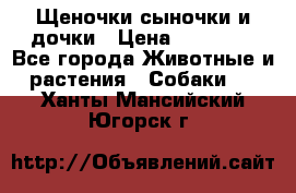 Щеночки-сыночки и дочки › Цена ­ 30 000 - Все города Животные и растения » Собаки   . Ханты-Мансийский,Югорск г.